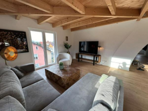 3 Zimmer Appartement Münsterblick